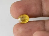 Holding a certified 5.02 ratti yellow sapphire from Ratna Gems