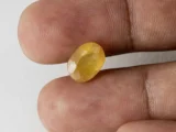 Holding a certified original pukhraj stone from Ratna Gems