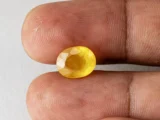 Holding a certified 5.77 ratti yellow sapphire from Ratna Gems