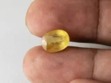 Holding a certified 5.90 ratti yellow sapphire from Ratna Gems
