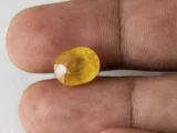 Holding a certified 7.29 ratti yellow sapphire from Ratna Gems