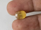 Holding a certified 7.63 ratti pukhraj stone from Ratna Gems