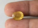 Holding a certified 8.96 ratti yellow sapphire from Ratna Gems