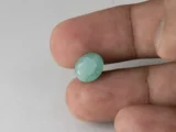 Brazilian Emerald 3.70 Carat (4.07 Ratti) Panna Stone in hand — Sapota, true scale and color
