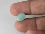 Brazilian Emerald 4.65 Carat (5.11 Ratti) Panna Stone in hand — Sapota, true scale and color
