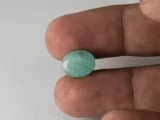 Brazilian Emerald 5.1 Carat (5.60 Ratti) Panna Stone in hand — Sapota, true scale and color