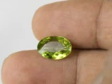 Peridot Stone 4.53 Carat (4.98 Ratti) in hand for true scale and color