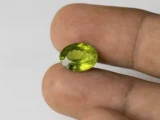 Peridot Stone 5.59 Carat (6.14 Ratti) in hand for real-life scale and color
