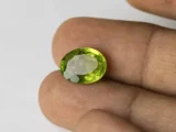 Peridot Stone 8.07 Carat (8.87 Ratti) in hand for real-life scale and color