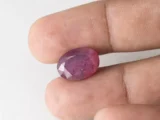 Bangkok Ruby Stone (Manik) 10.05 Carat (11.04 Ratti) in hand for real size and colour reference
