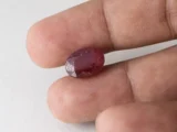 Bangkok Ruby Stone (Manik) 10.35 Carat (11.37 Ratti) in hand for real size and colour reference