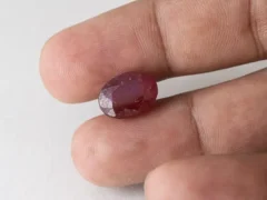 Bangkok Ruby Stone (Manik) 10.35 Carat (11.37 Ratti) in hand for real size and colour reference