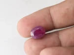 Bangkok Ruby Stone (Manik) 11.3 Carat (12.42 Ratti) in hand for real size and colour reference