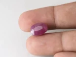 Bangkok Ruby Stone (Manik) 11.75 Carat (12.91 Ratti) in hand for real size and colour reference