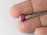 Bangkok Ruby Stone (Manik) 3.5 Carat (3.85 Ratti) in hand for real size and colour reference