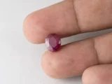 Bangkok Ruby Stone (Manik) 3.5 Carat (3.85 Ratti) in hand for real size and colour reference