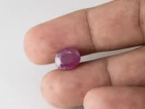Bangkok Ruby Stone (Manik) 5.05 Carat (5.55 Ratti) in hand for real size and colour reference