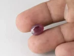 Bangkok Ruby Stone (Manik) 5.45 Carat (5.99 Ratti) in hand for real size and colour reference