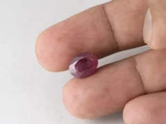 Bangkok Ruby Stone (Manik) 5.45 Carat (5.99 Ratti) in hand for real size and colour reference