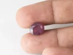 Bangkok Ruby Stone (Manik) 6.9 Carat (7.58 Ratti) in hand for real size and colour reference