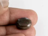 Original Bloodstone 10.85 Carat 16x12.5mm Actual Size Reference