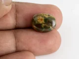 Original Bloodstone 7.54 Carat Size Reference