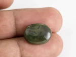 Original Bloodstone 6.44 Carat 14x10mm Actual Size Reference