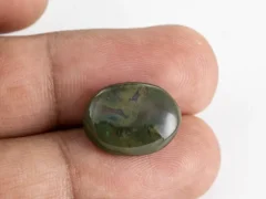 Original Bloodstone 6.44 Carat 14x10mm Actual Size Reference
