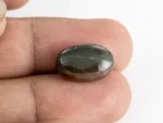 Original Bloodstone 8.44 Carat 17x11mm Actual Size Reference