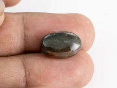 Original Bloodstone 8.44 Carat 17x11mm Actual Size Reference