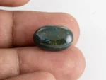 Original Bloodstone 9.74 Carat 18x11.5mm Actual Size Reference
