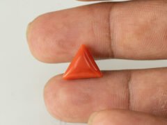 Italian red coral moonga 4.24 carat in hand size reference