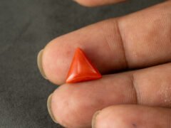 italian red coral moonga 4.26 carat in hand size reference