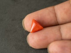 italian red coral moonga 4.28 carat in hand size reference