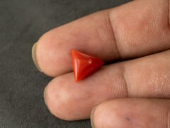 italian red coral moonga 4.29 carat in hand size reference