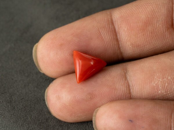 italian red coral moonga 4.29 carat in hand size reference