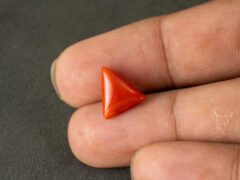 italian red coral moonga 4.31 carat in hand size reference