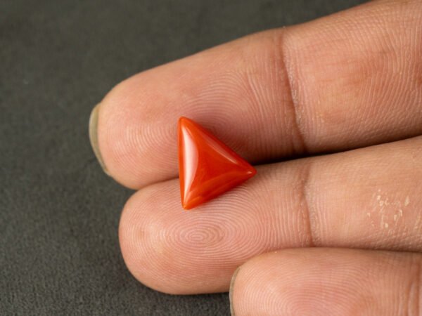 italian red coral moonga 4.31 carat in hand size reference