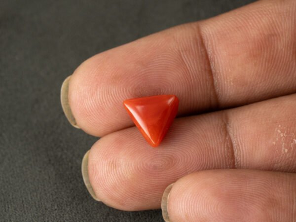 italian red coral moonga 4.33 carat in hand size reference