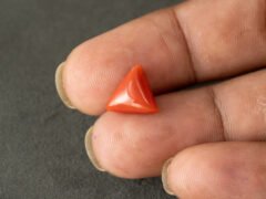 italian red coral moonga 4.33 carat in hand size reference