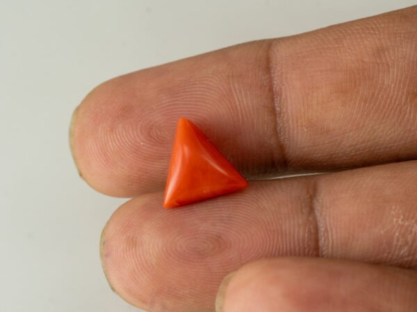 italian red coral moonga 4.35 carat in hand size reference