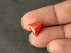 italian red coral moonga 4.36 carat in hand size reference