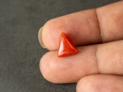 italian red coral moonga 4.36 carat in hand size reference