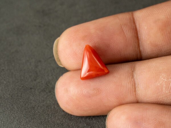 italian red coral moonga 4.36 carat in hand size reference
