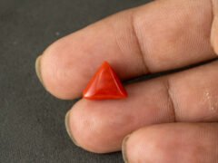 italian red coral moonga 4.39 carat in hand size reference