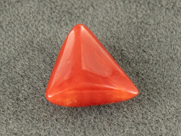 italian red coral moonga 4.39 carat back profile triangle gemstone