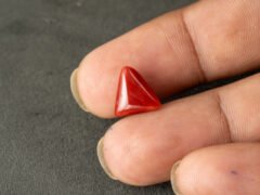 italian red coral moonga 4.39 carat in hand size reference