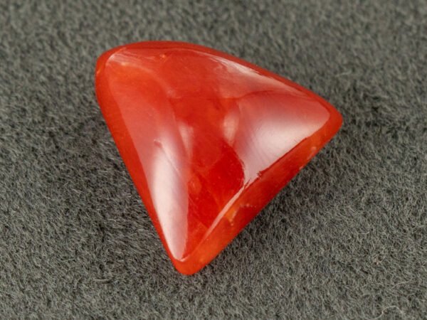 italian red coral moonga 4.39 carat side profile triangle cabochon