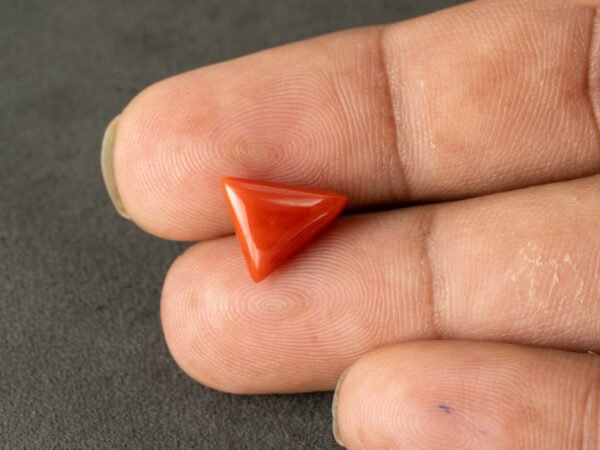 italian red coral moonga 4.41 carat in hand size reference