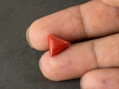 italian red coral moonga 4.43 carat in hand size reference